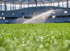 多特对丘库,埃梅卡充满,期待,皇冠娱乐,Crown,皇冠娱乐体育官网,皇冠娱乐官网,皇冠娱乐体育下载