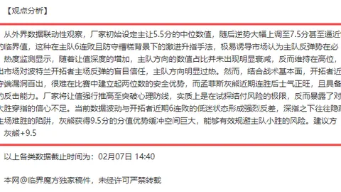 万智牌神龟礼盒含聚珍包补货，享新折扣优惠